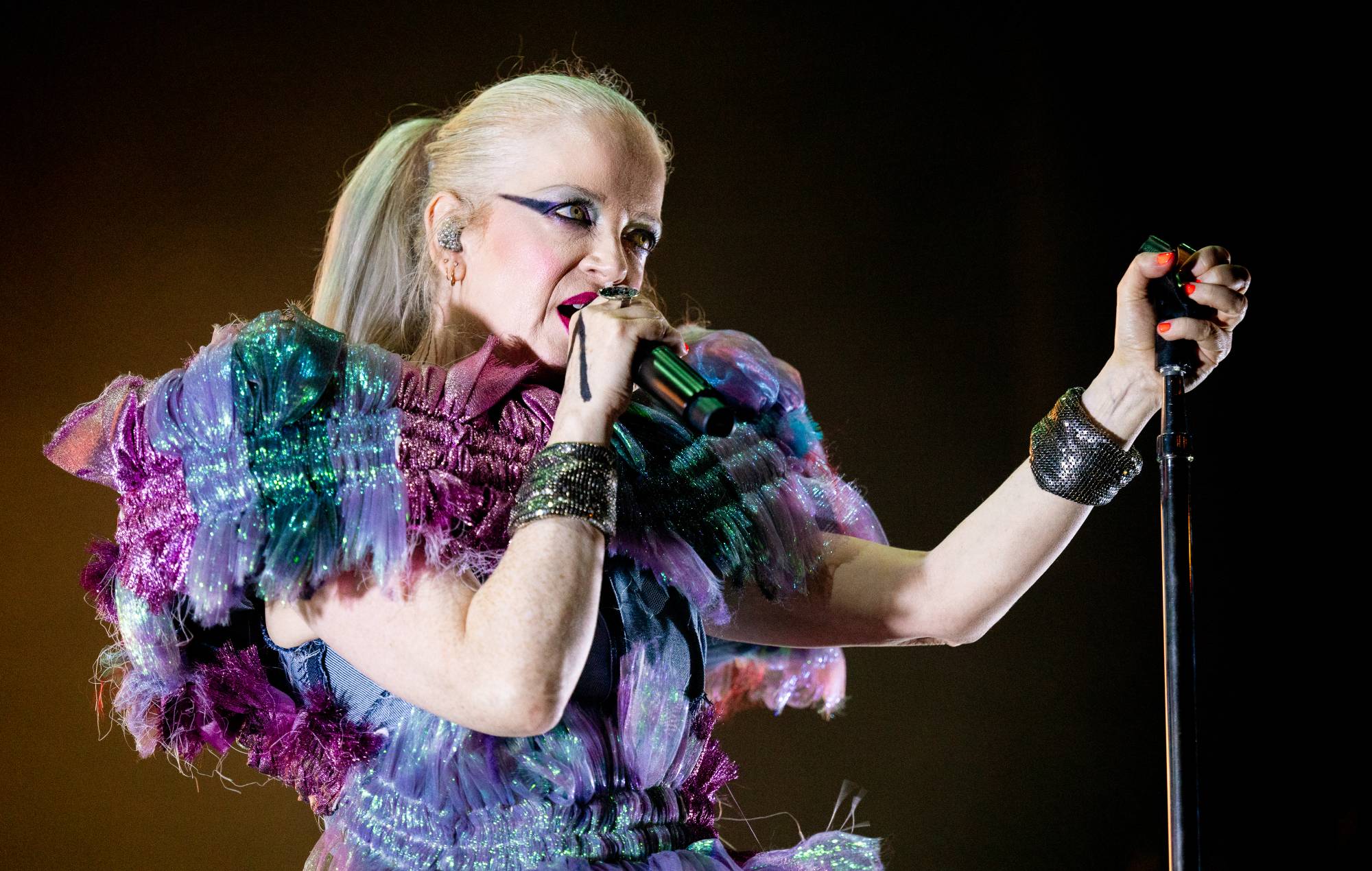 Shirley Manson spiega l'ultimo tour del titolo degli Stati Uniti di Garbage è dovuto al "furto del settore discografico"