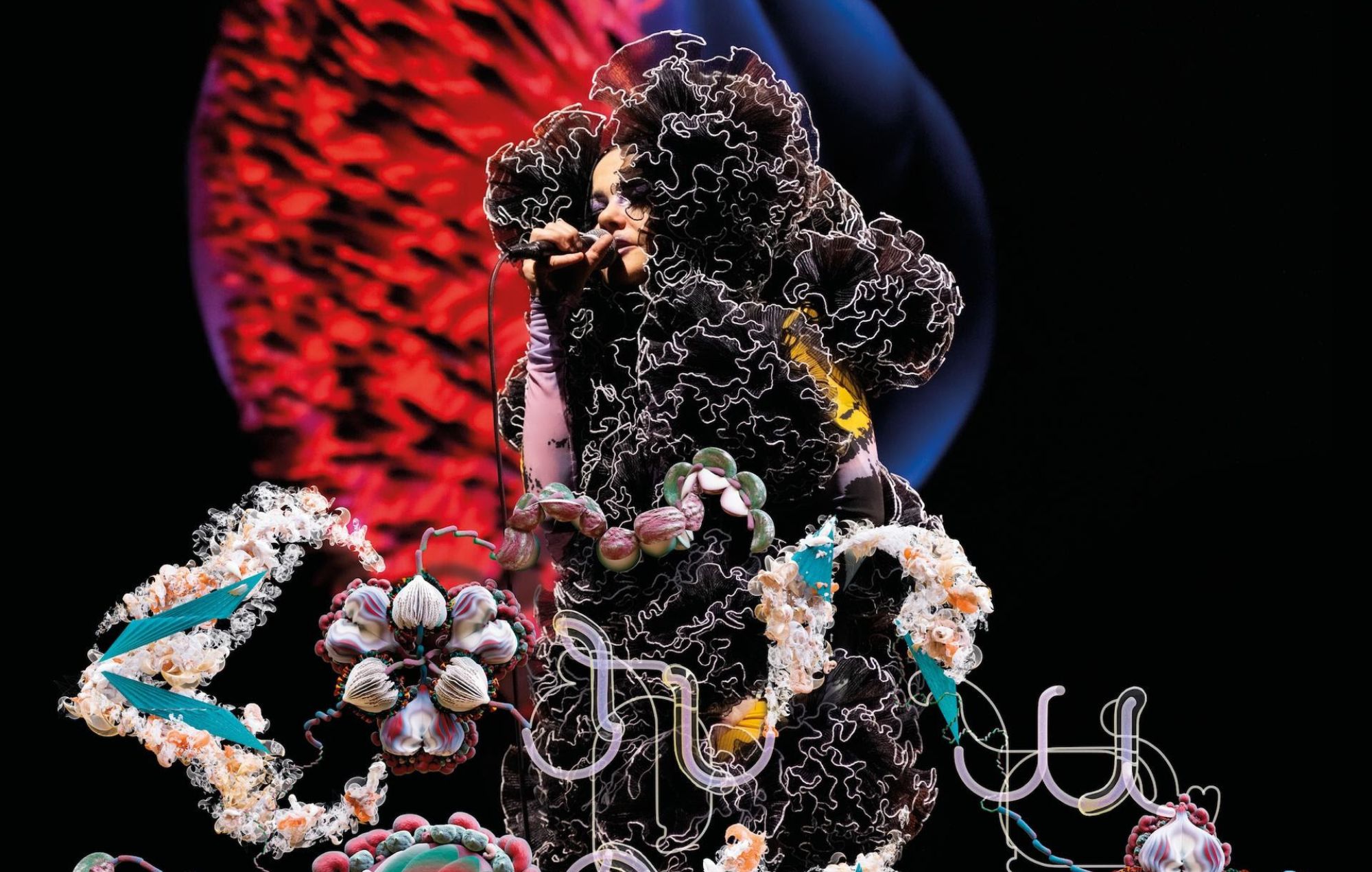 Björk chiede il "ritorno sicuro" dell'"amica d'infanzia" e musicista Magga Stína dopo essere stata "rapita" dalle forze israeliane
