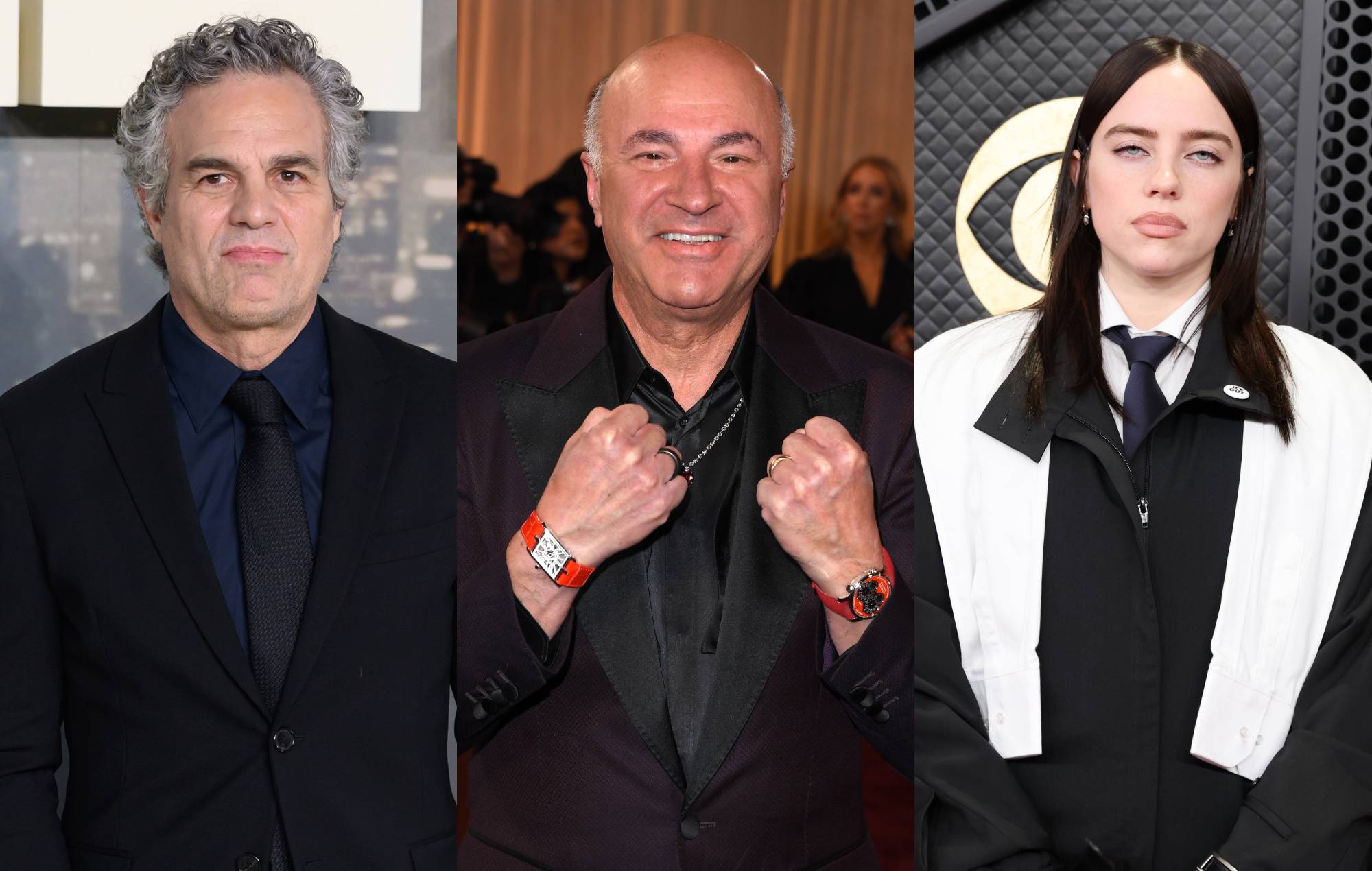 Mark Ruffalo se la prende con Kevin O'Leary per i commenti dell'ICE di Billie Eilish: "Perché non fai STFU?"