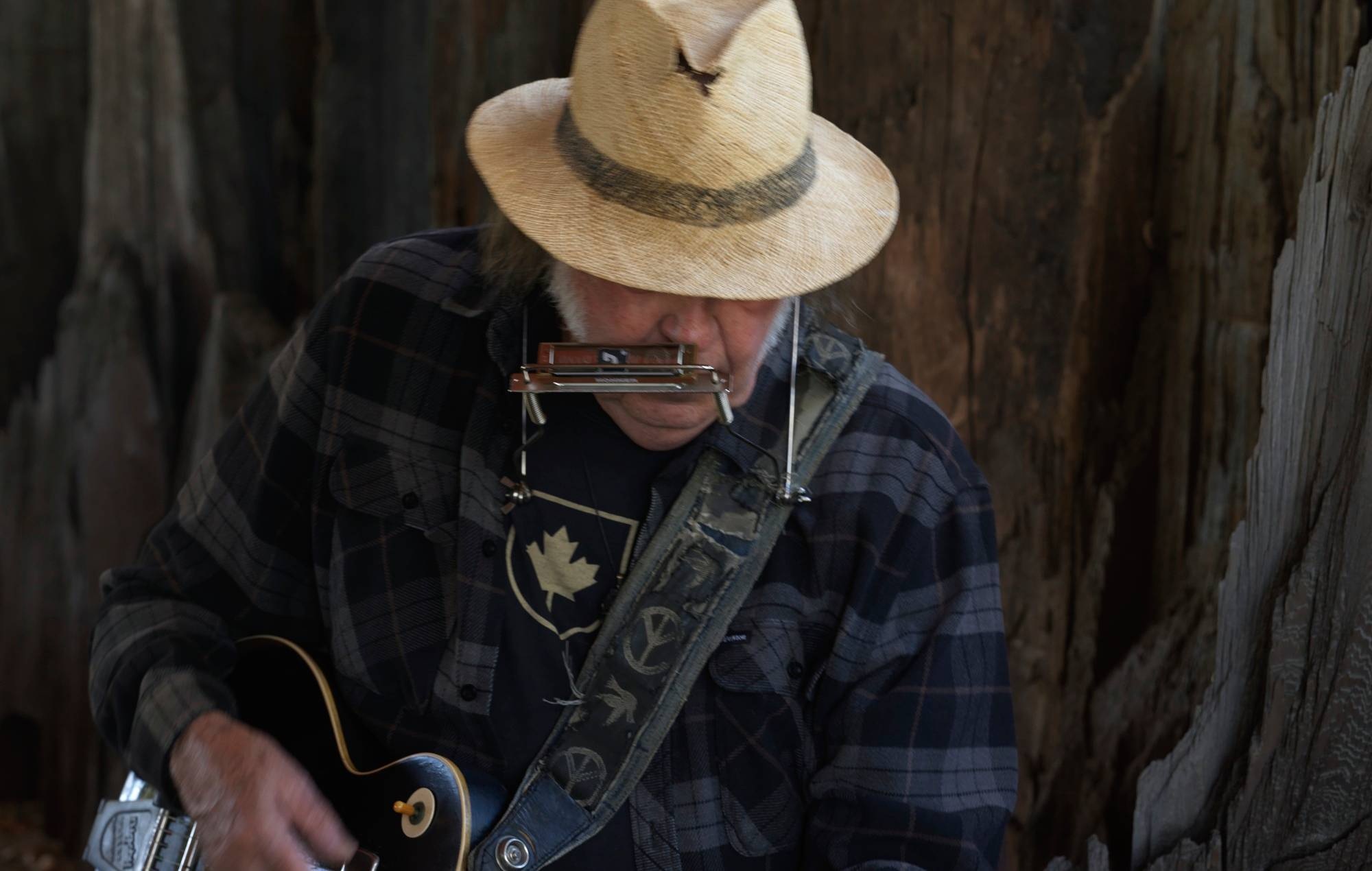 Neil Young annuncia il nuovo album con i Chrome Hearts e condivide la rilassante title track "Second Song"